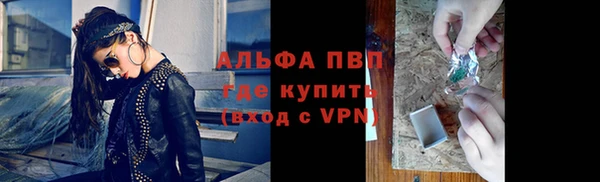 ПСИЛОЦИБИНОВЫЕ ГРИБЫ Белокуриха