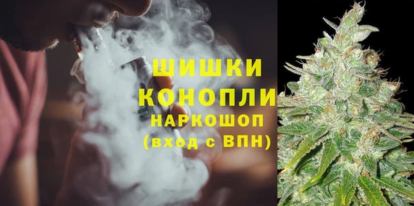 ПСИЛОЦИБИНОВЫЕ ГРИБЫ Белокуриха