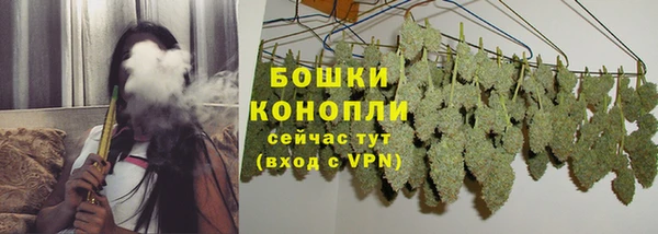 ПСИЛОЦИБИНОВЫЕ ГРИБЫ Белокуриха